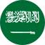 Saudi Arabia flag marking Workplus HCM GOSI and payroll support